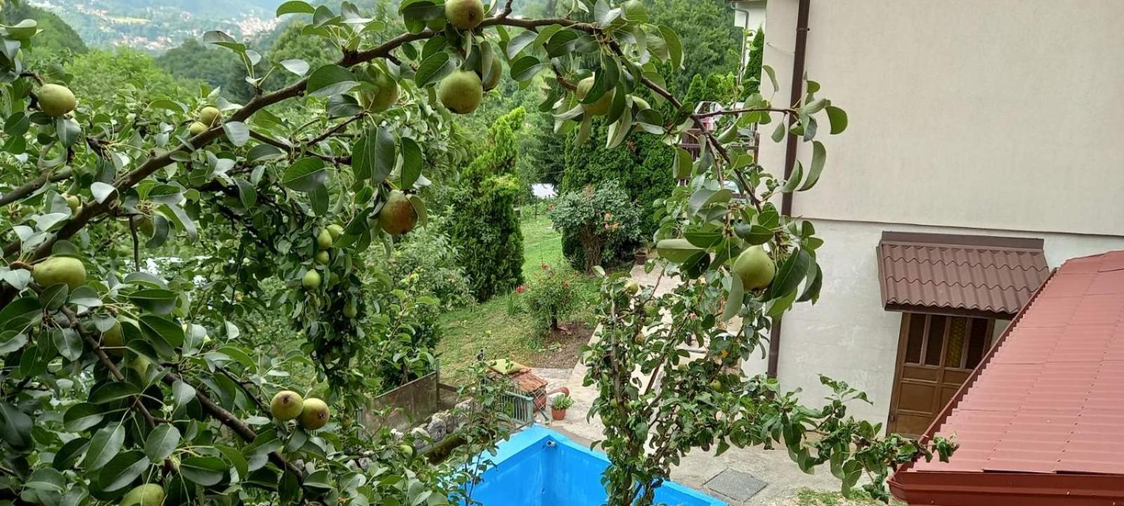 Appartement Hills,small With Garden And Garage *
