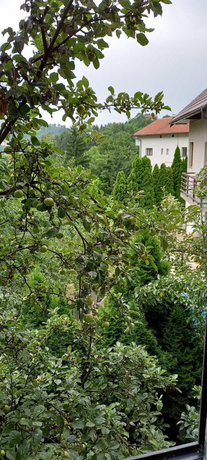 Hills,small With Garden And Garage