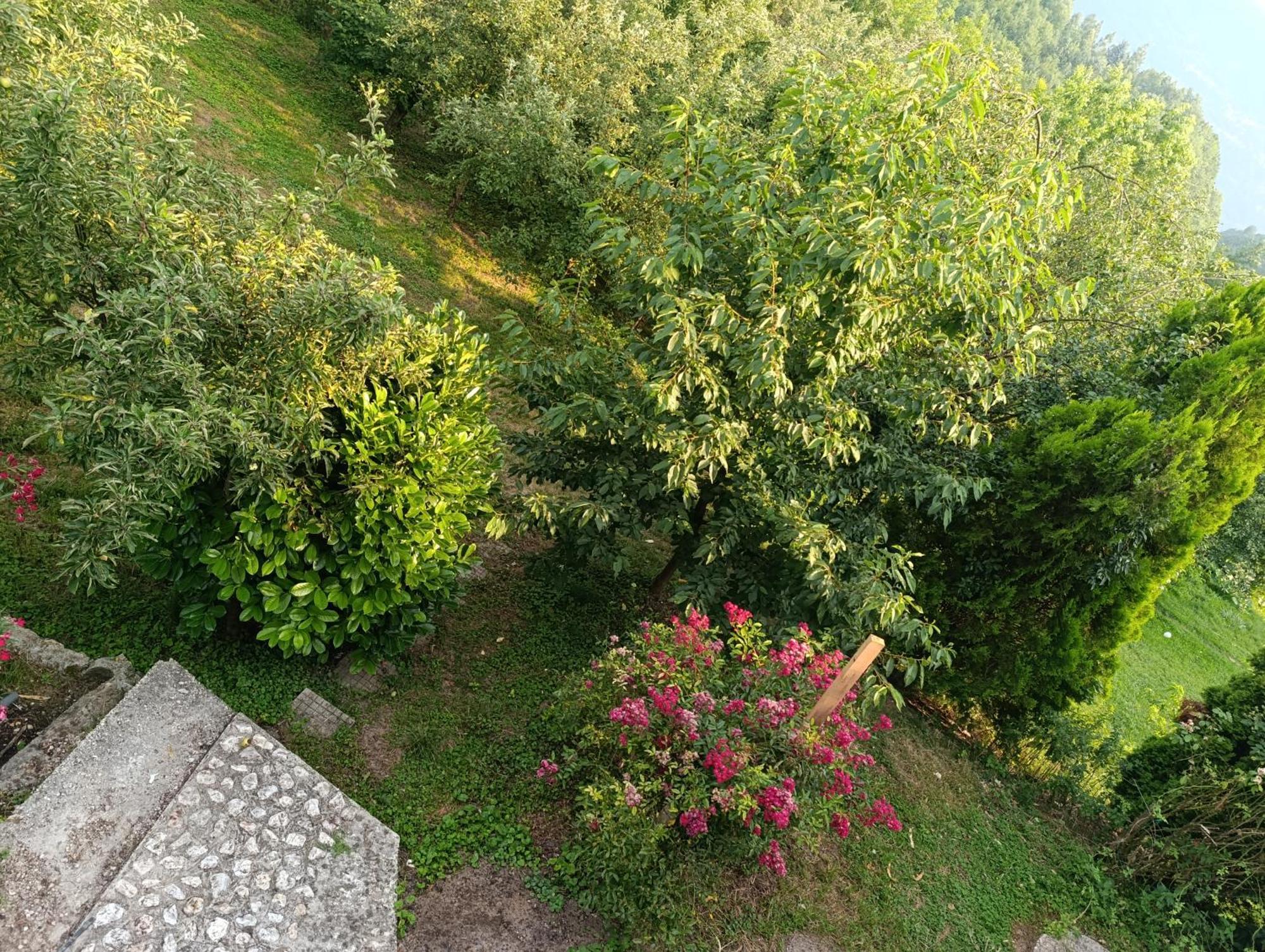 Hills,small With Garden And Garage Appartement